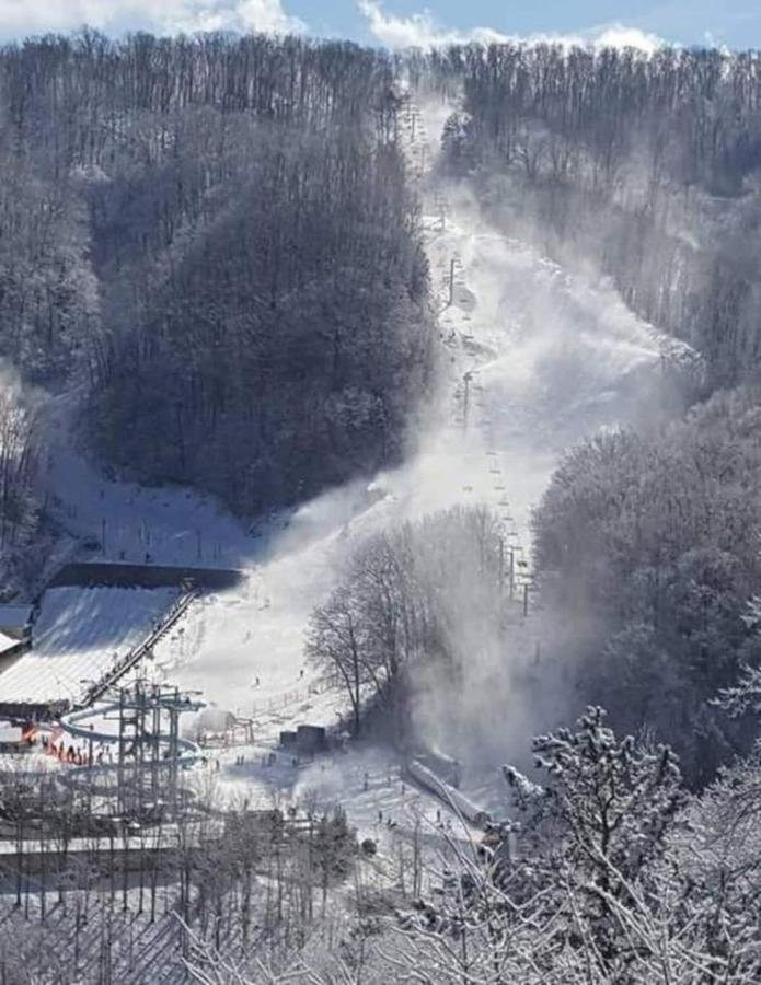 Mountain Villa Magnificent Views - 2 Pools, Fireplace & Hot Tub Гатлинбург Экстерьер фото